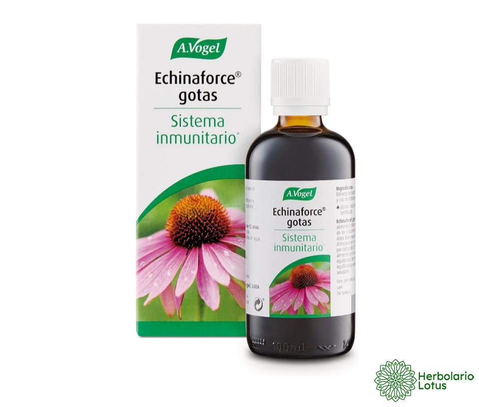 Echinaforce gotas de A. Vogel